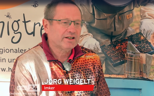 Imker Jörg Weigelt berichtet über den Honigverkauf bei Honigtreu im RBB Beitrag Honig für die Hauptstadt