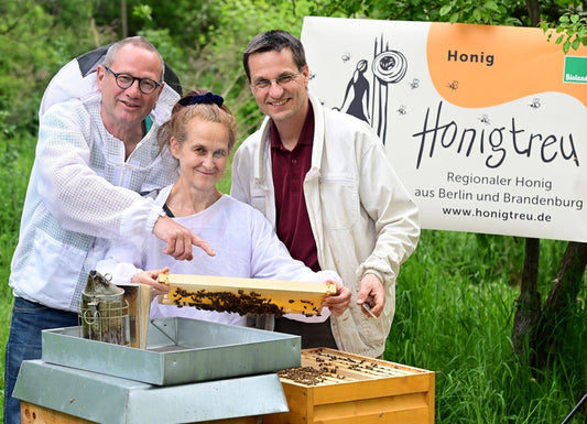 Wir sind Honigtreu! - Honigtreu - Biohonig aus Berlin und Brandenburg.