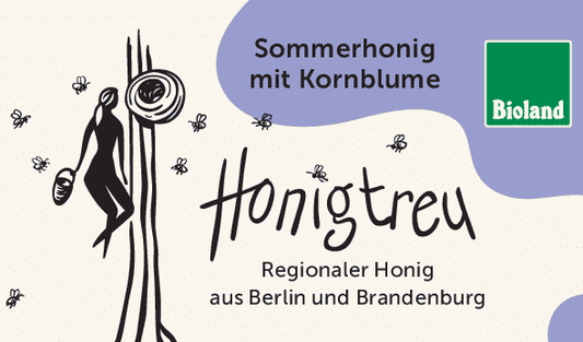 Sommerhonig mit Kornblume - Honigtreu - Biohonig aus Berlin und Brandenburg.
